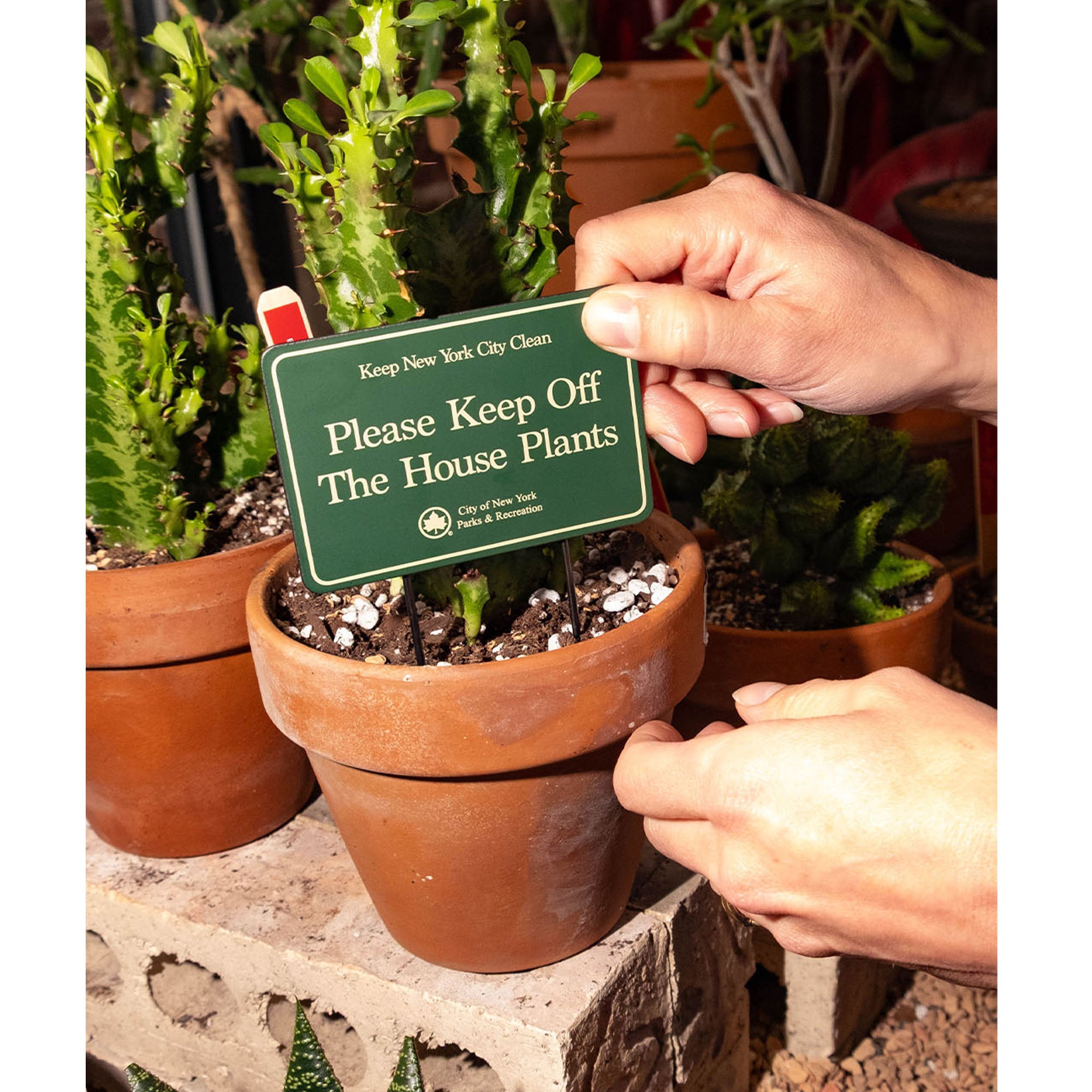 potted plants new york NYC Parks Mini Planter Sign – Only NY