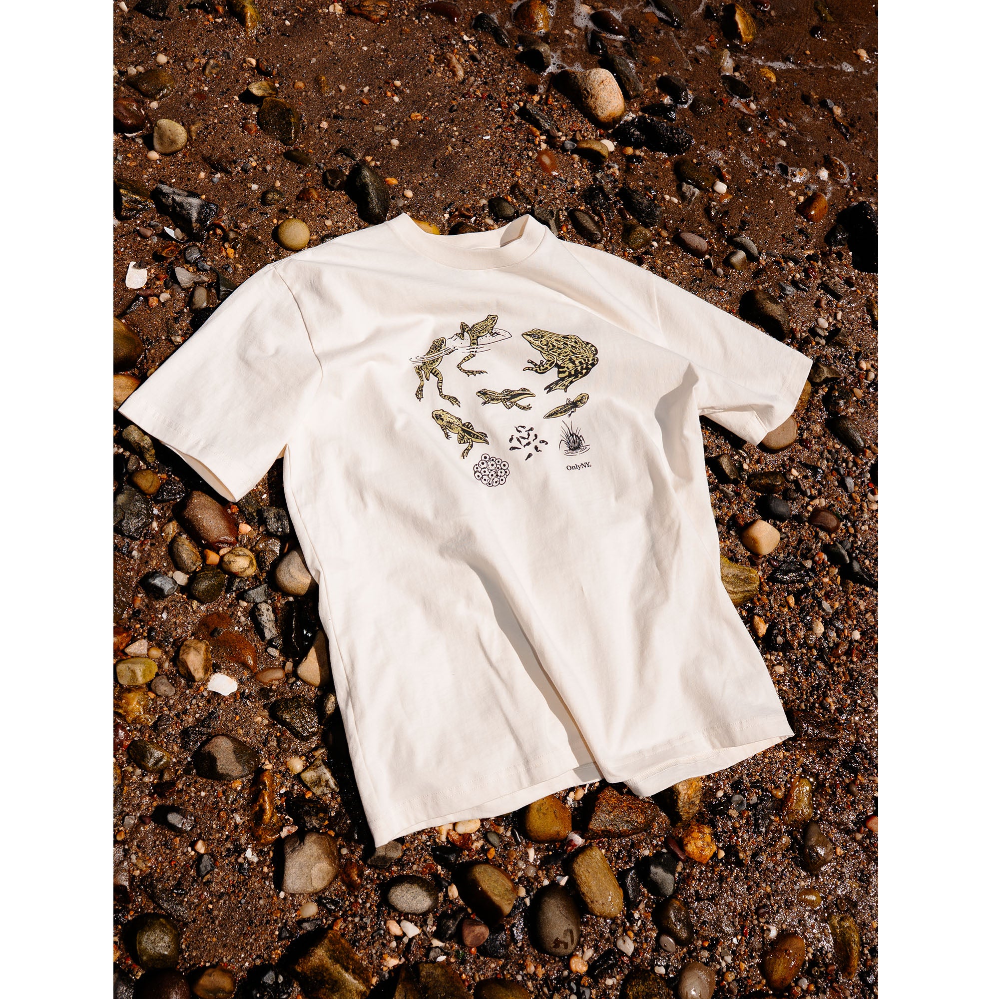 カエルのライフサイクル Tシャツ – Only NY