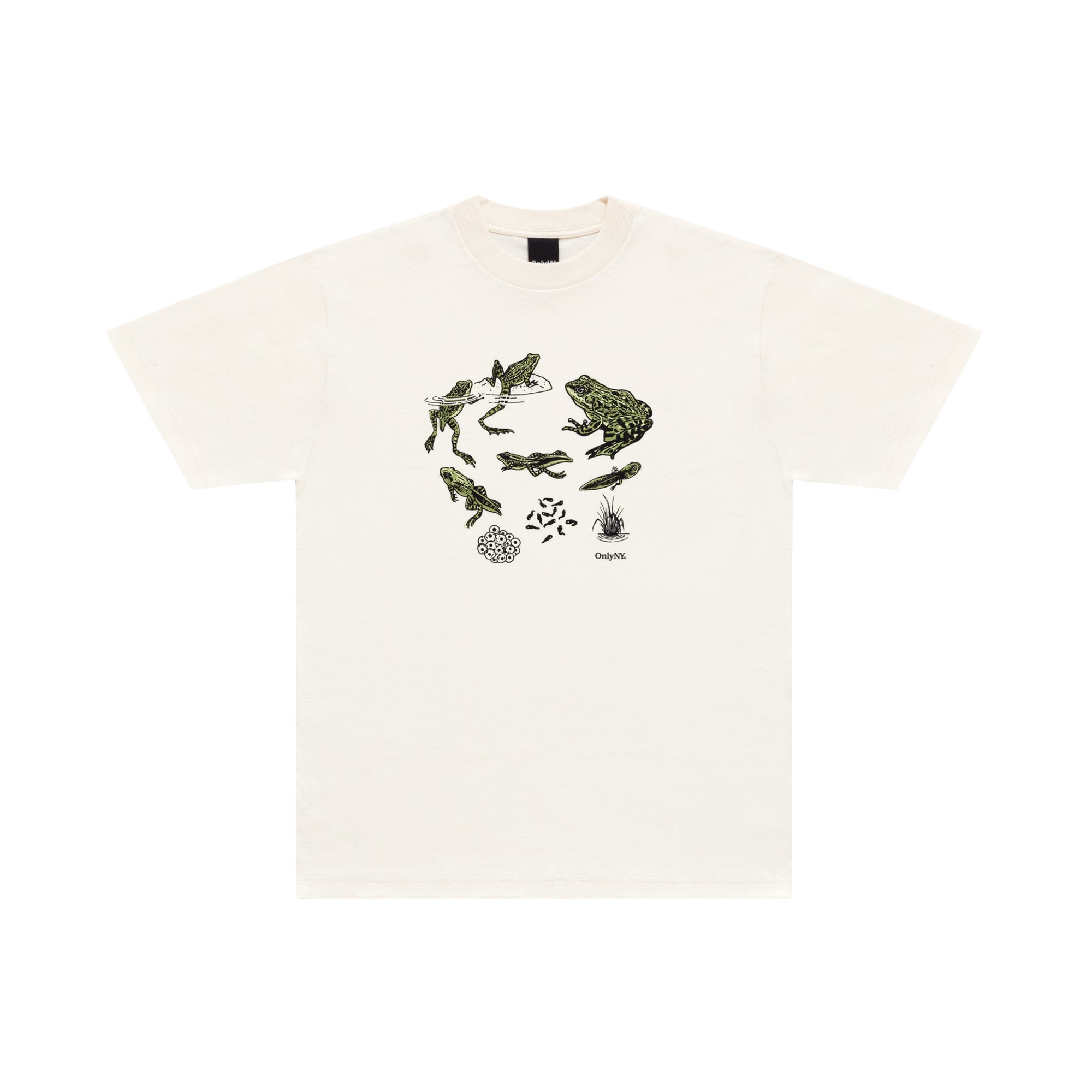 カエルのライフサイクル Tシャツ – Only NY