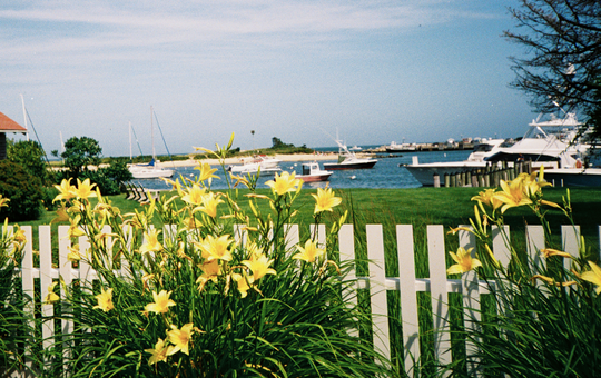 Nathan Kelley Martha's Vineyard 2018