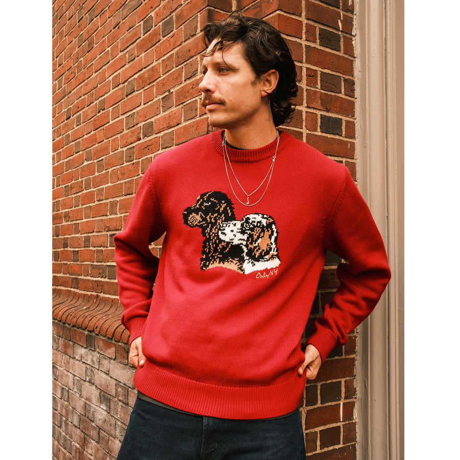 Retriever Sweater – Only NY