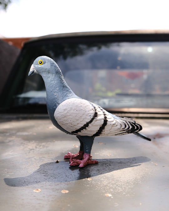 Cast Iron Pigeon