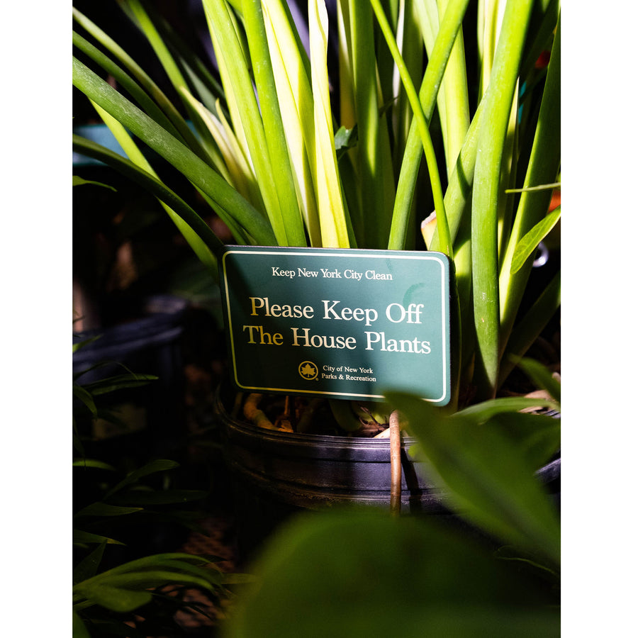 house plants new york NYC Parks Mini Planter Sign – Only NY