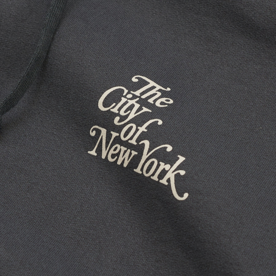 Only NY | NYC City of New York Hoodie, ash/green / M