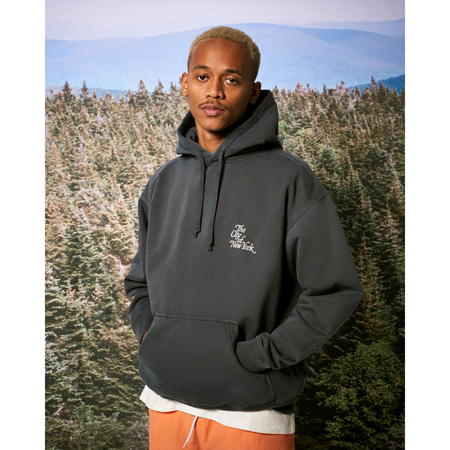 The Met x PacSun New York Pullover Hoodie